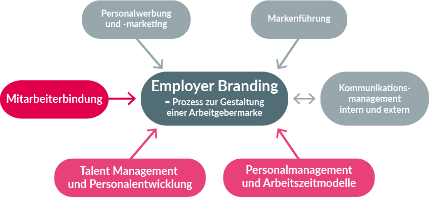 Die Grafik zeigt die 6 verschiedenen Tätigkeitsfelder des Employer Brandings. Im Fokus stehen Mitarbeiterbindung, Talentmanagement / Personalentwicklung und Personalmanagement / Arbeitszeitmodelle