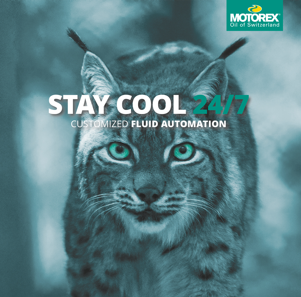 Key Visual von Motorex, es zeigt einen Luchs mit grünen Augen und es steht Stay Cool 24/7 vor seiner Stirn
